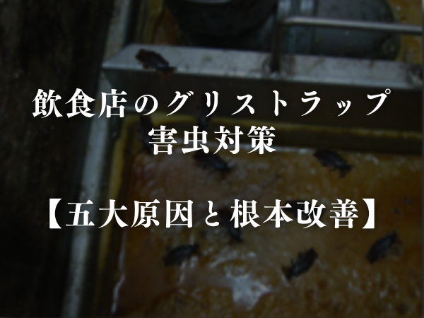 飲食店のグリストラップ害虫対策 総まとめ【五大原因と対策】